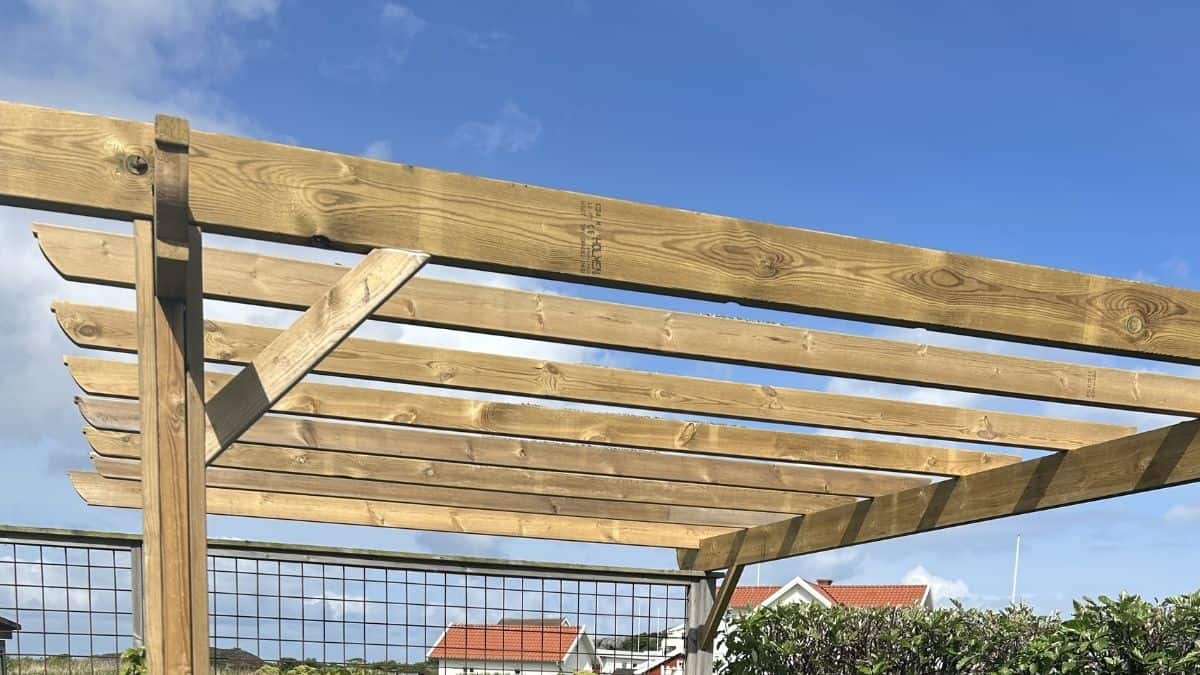 Pergola med tydliga bärande balkar och stolpar som lämpar sig för uppfästning av solskydd och solsegel.