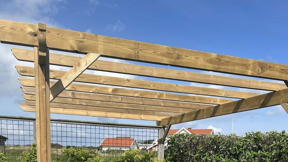 Pergola med synliga balkar och reglar som kan bära olika typer av tak.