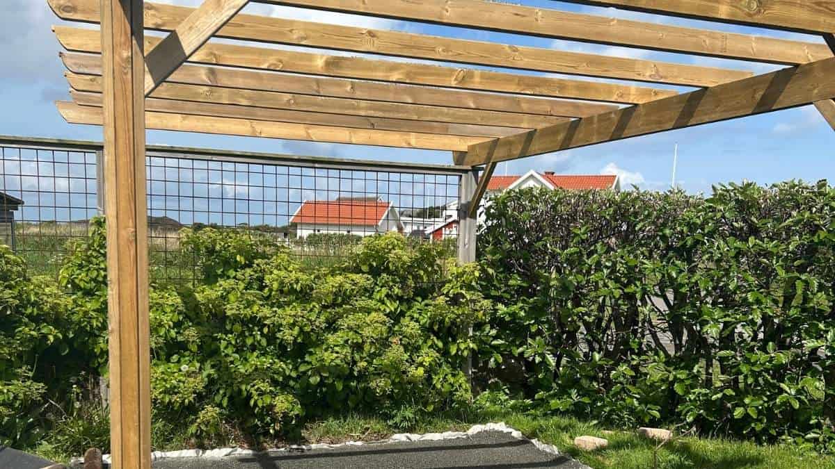 Pergola monterad mot husfasad